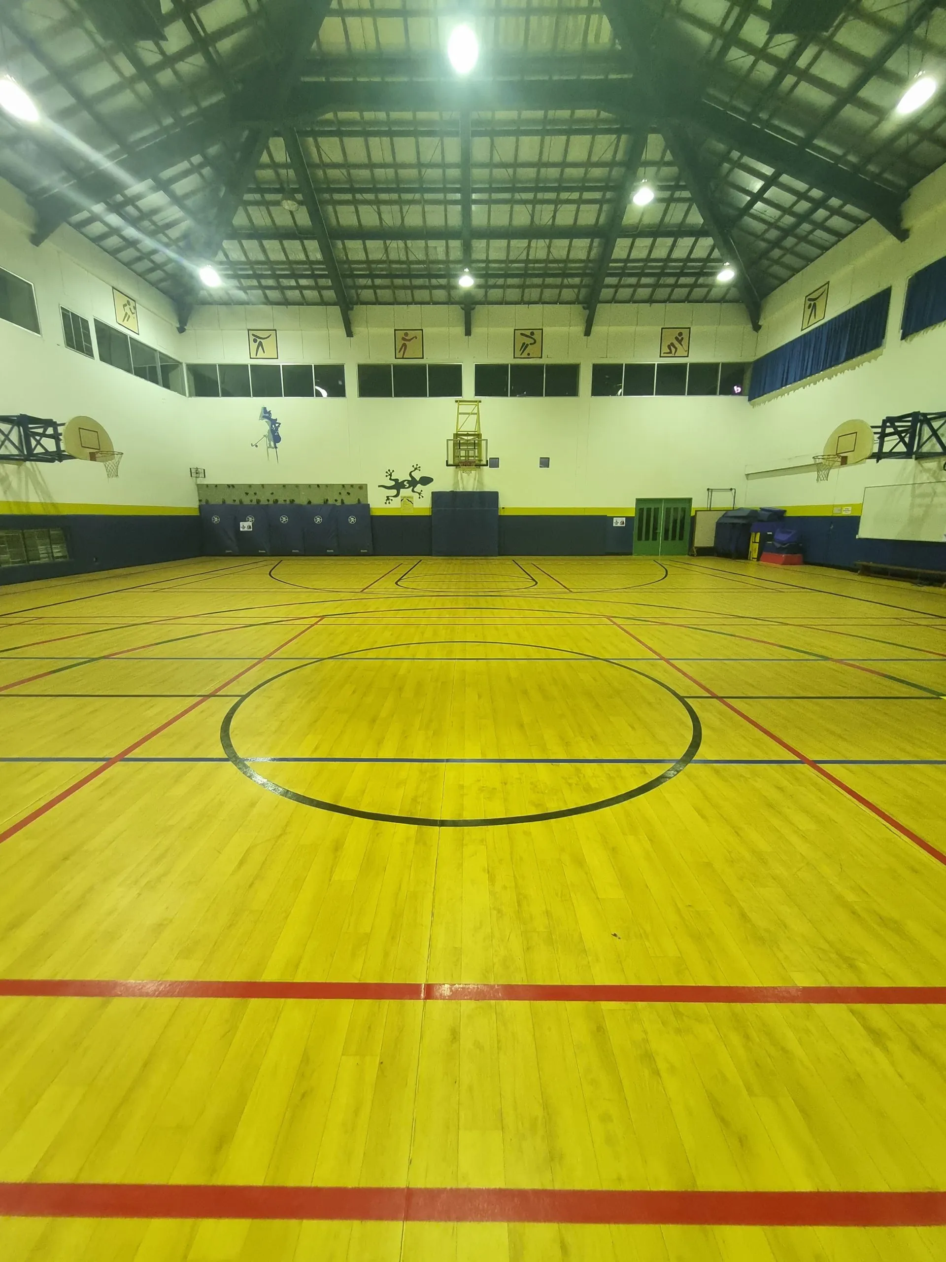 Line Marking Multipurpose Court
