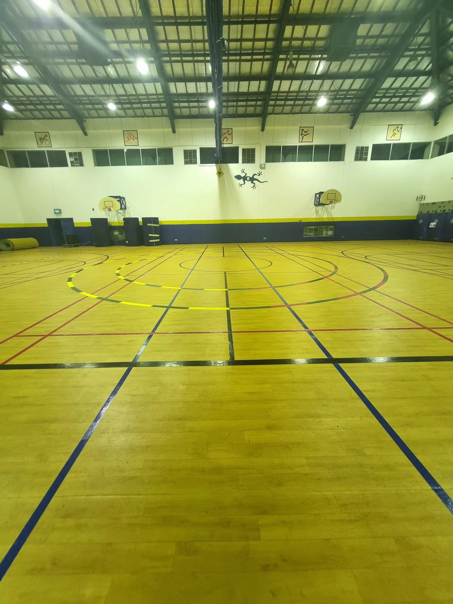 Line Marking Multipurpose Court