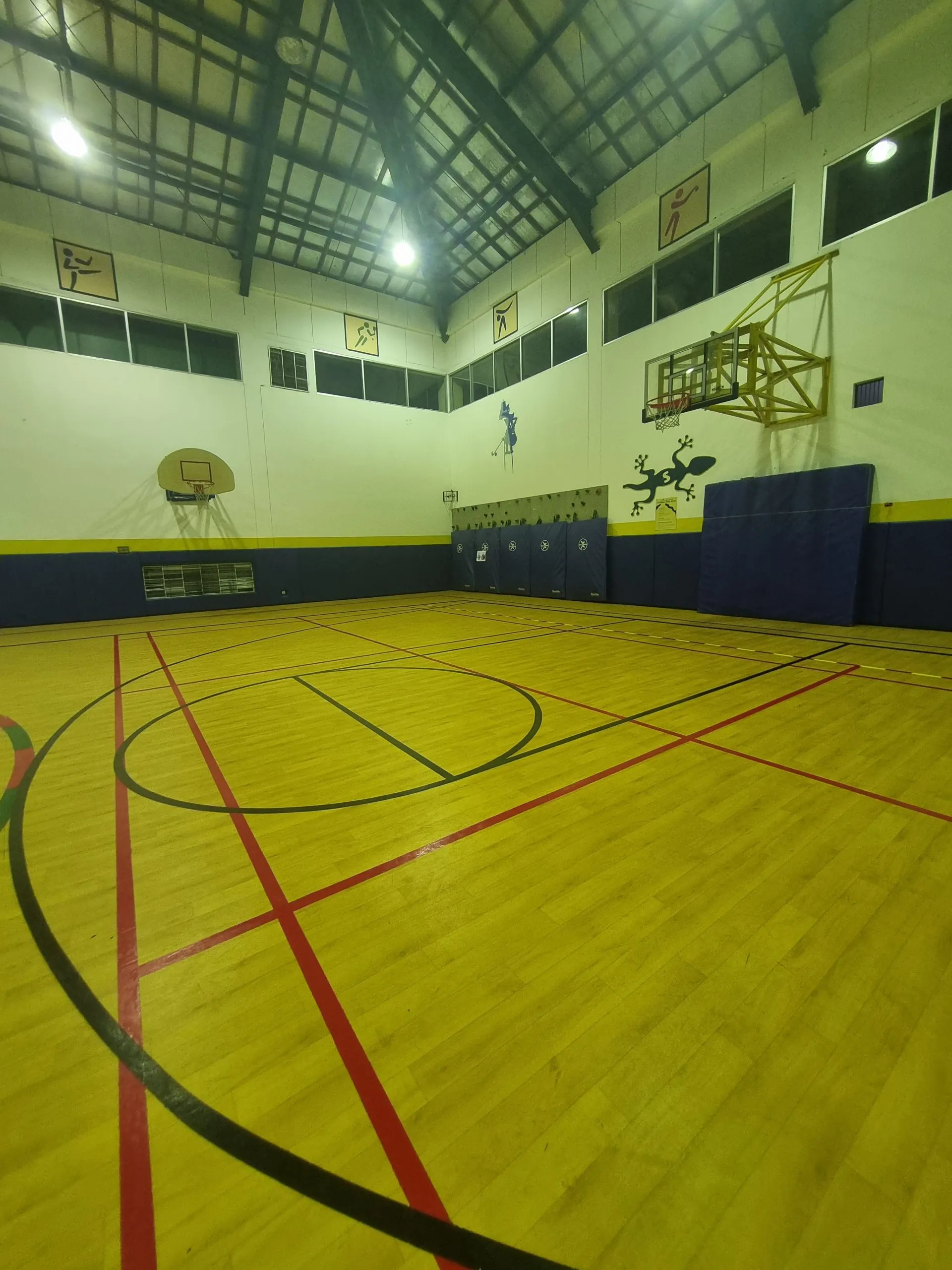 Line Marking Multipurpose Court