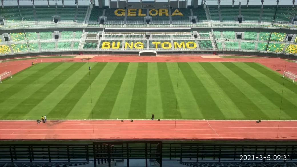 Rumput Zoysia Japonica Stadion Gelora Bung Tomo Surabaya