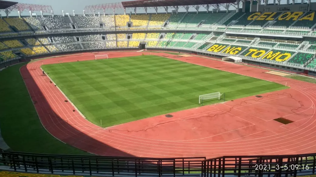 Rumput Zoysia Japonica Stadion Gelora Bung Tomo Surabaya