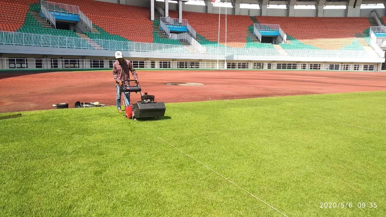 Perawatan Rumput Stadion Pakansari