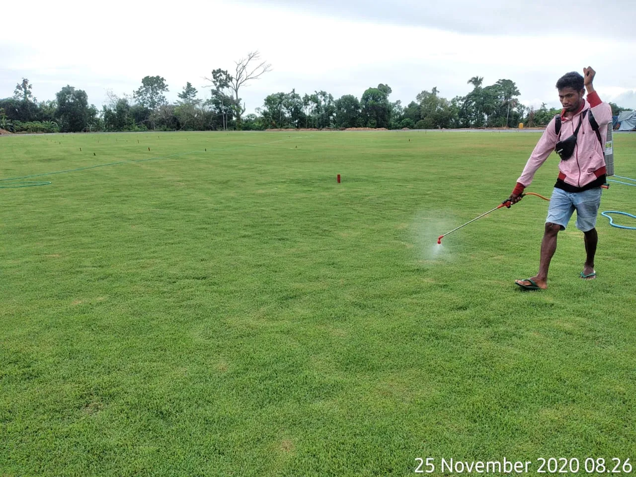 Rumput Natural Softball Gateball, Manokwari