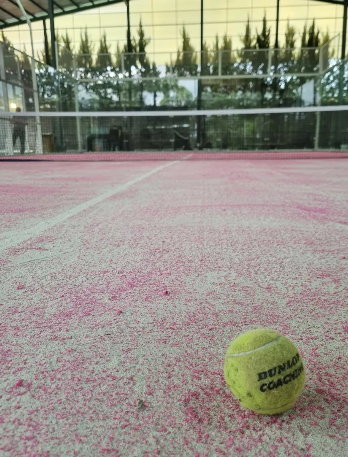 Sportive Hub Padel - Bandung